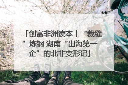 创富非洲读本丨“裁缝”炼钢 湖南“出海第一企”的北非变形记