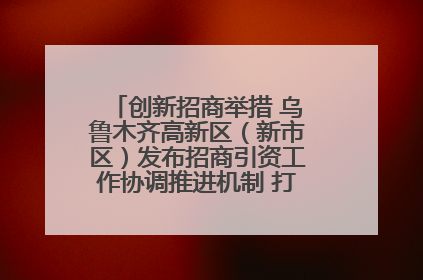 创新招商举措 乌鲁木齐高新区（新市区）发布招商引资工作协调推进机制 打造投资发展新高地