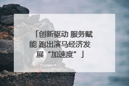 创新驱动 服务赋能 跑出演马经济发展“加速度”