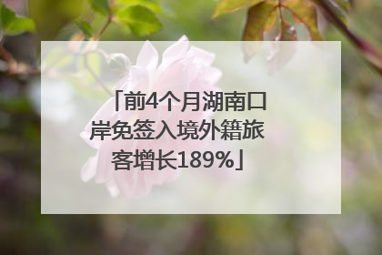 前4个月湖南口岸免签入境外籍旅客增长189%