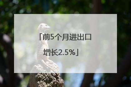 前5个月进出口增长2.5%