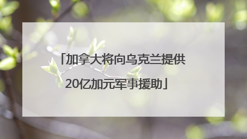 加拿大将向乌克兰提供20亿加元军事援助
