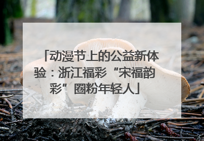 动漫节上的公益新体验：浙江福彩“宋福韵彩”圈粉年轻人