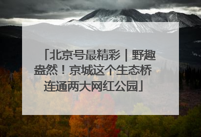 北京号最精彩｜野趣盎然！京城这个生态桥连通两大网红公园