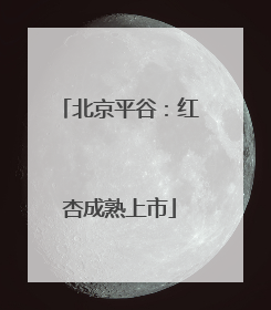 北京平谷：红杏成熟上市