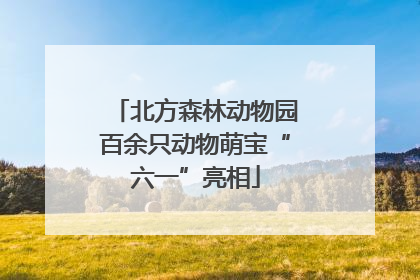 北方森林动物园百余只动物萌宝“六一”亮相