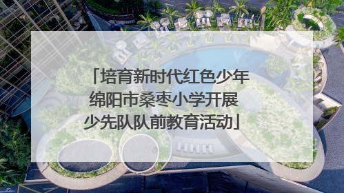 培育新时代红色少年 绵阳市桑枣小学开展少先队队前教育活动