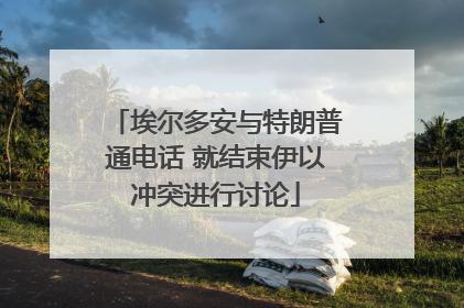 埃尔多安与特朗普通电话 就结束伊以冲突进行讨论