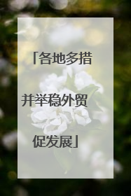 各地多措并举稳外贸促发展
