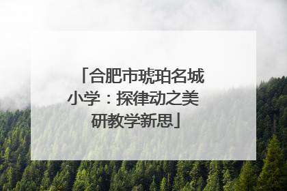 合肥市琥珀名城小学：探律动之美 研教学新思