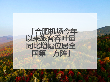 合肥机场今年以来旅客吞吐量同比增幅位居全国第一方阵