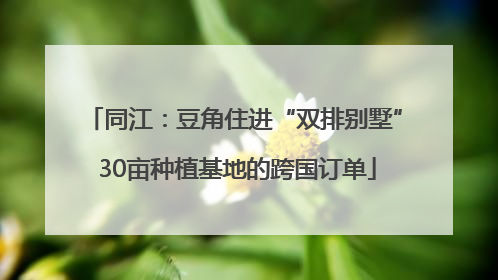 同江：豆角住进“双排别墅” 30亩种植基地的跨国订单