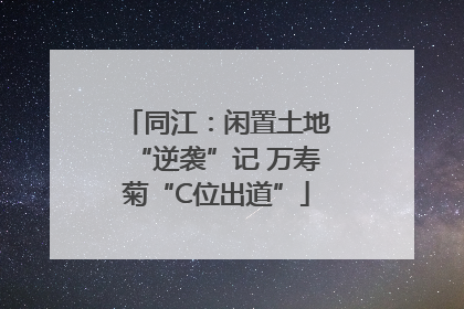 同江：闲置土地“逆袭”记 万寿菊“C位出道”