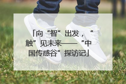 向“智”出发，“触”见未来——“中国传感谷”探访记