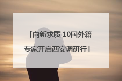 向新求质 10国外籍专家开启西安调研行