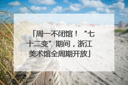 周一不闭馆！“七十二变”期间，浙江美术馆全周期开放