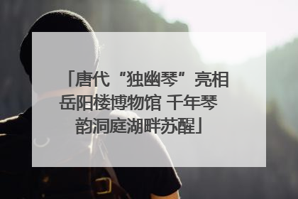 唐代“独幽琴”亮相岳阳楼博物馆 千年琴韵洞庭湖畔苏醒