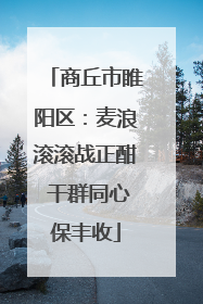商丘市睢阳区：麦浪滚滚战正酣 干群同心保丰收