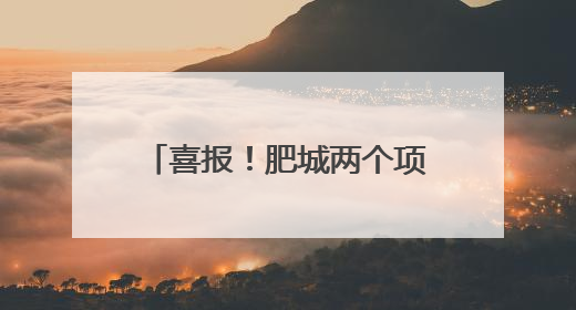 喜报！肥城两个项目入选省级目录