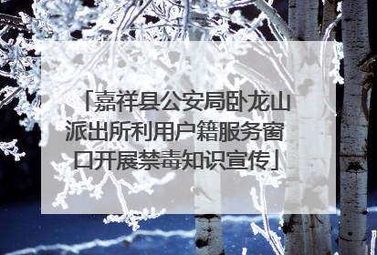 嘉祥县公安局卧龙山派出所利用户籍服务窗口开展禁毒知识宣传