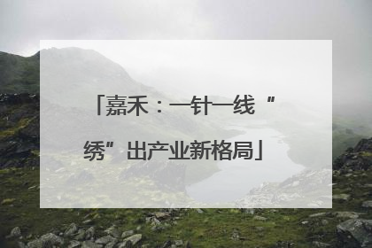 嘉禾：一针一线“绣”出产业新格局