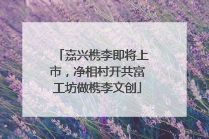 嘉兴槜李即将上市，净相村开共富工坊做槜李文创