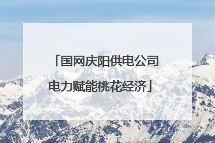 国网庆阳供电公司电力赋能桃花经济