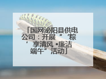 国网泌阳县供电公司：开展“‘粽’享清风 •廉洁端午”活动