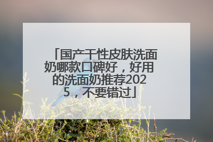 国产干性皮肤洗面奶哪款口碑好，好用的洗面奶推荐2025，不要错过