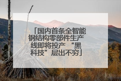 国内首条全智能钢结构零部件生产线即将投产 “黑科技”层出不穷