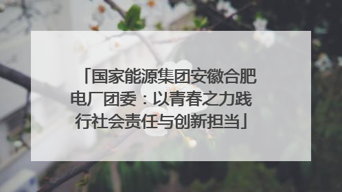 国家能源集团安徽合肥电厂团委：以青春之力践行社会责任与创新担当