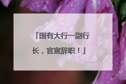 国有大行一副行长，官宣辞职！