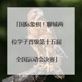 国际象棋！聊城两位学子晋级第十五届全国运动会决赛