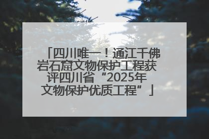 四川唯一！通江千佛岩石窟文物保护工程获评四川省“2025年文物保护优质工程”