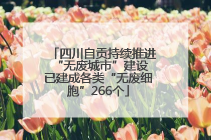 四川自贡持续推进“无废城市”建设 已建成各类“无废细胞”266个