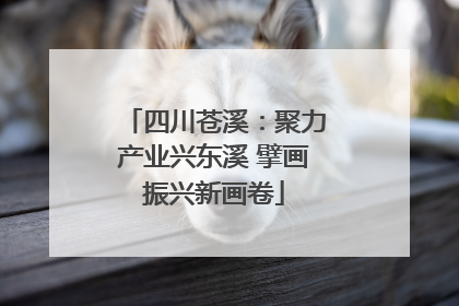 四川苍溪：聚力产业兴东溪 擘画振兴新画卷