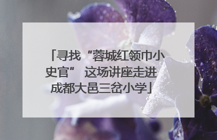 寻找“蓉城红领巾小史官” 这场讲座走进成都大邑三岔小学