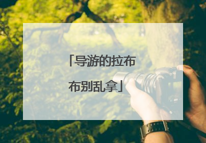 导游的拉布布别乱拿