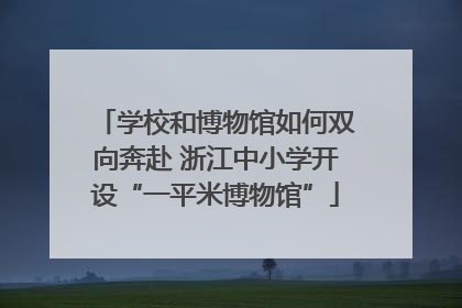 学校和博物馆如何双向奔赴 浙江中小学开设“一平米博物馆”