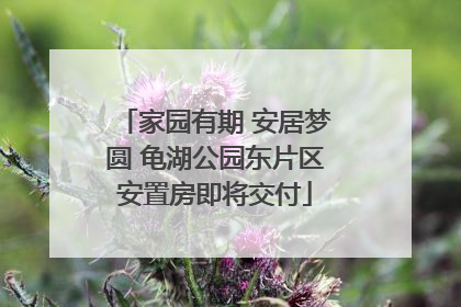 家园有期 安居梦圆 龟湖公园东片区安置房即将交付