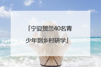 宁夏贺兰40名青少年到乡村研学