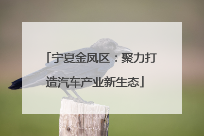 宁夏金凤区：聚力打造汽车产业新生态