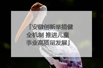 安徽创新举措健全机制 推进儿童事业高质量发展