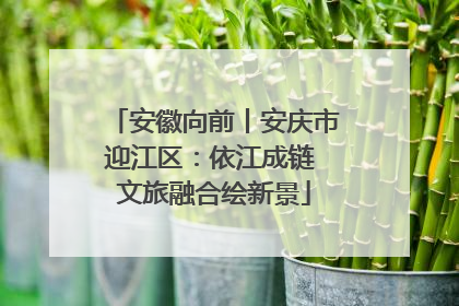 安徽向前丨安庆市迎江区：依江成链 文旅融合绘新景