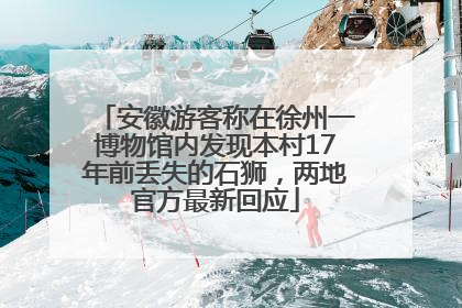 安徽游客称在徐州一博物馆内发现本村17年前丢失的石狮，两地官方最新回应