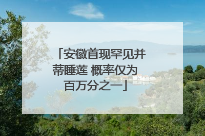 安徽首现罕见并蒂睡莲 概率仅为百万分之一