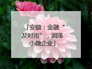 安徽：金融“及时雨”，润泽小微企业