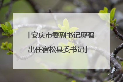 安庆市委副书记廖强出任宿松县委书记
