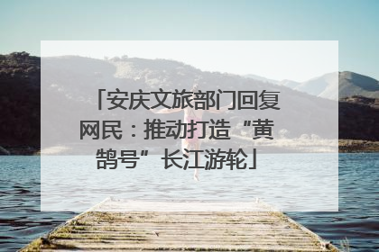 安庆文旅部门回复网民：推动打造“黄鹄号”长江游轮