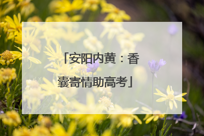 安阳内黄：香囊寄情助高考